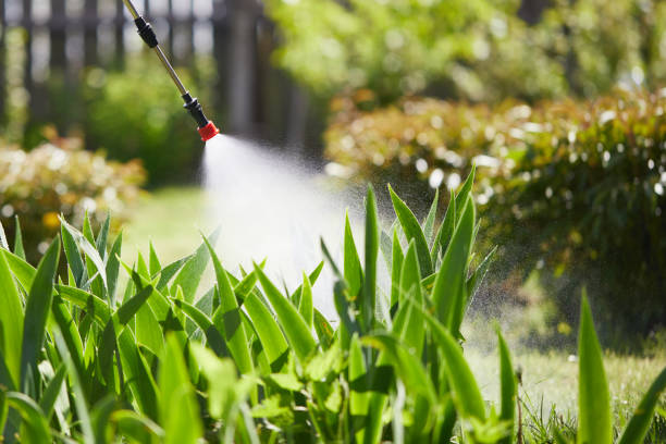 Tamper-Resistant Bait Stations for Rodents in Perry Park